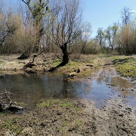 Appartement Apartament-samodzielne Mieszkanie-agroturystyka-puszcza Kampinoska
