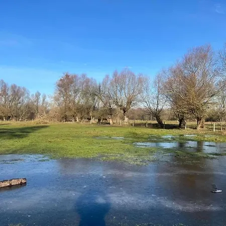 Apartament-samodzielne Mieszkanie-agroturystyka-puszcza Kampinoska Appartement Leoncin