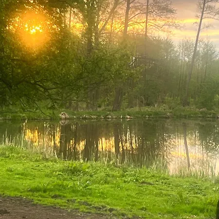 Apartament-samodzielne Mieszkanie-agroturystyka-puszcza Kampinoska Appartement Leoncin