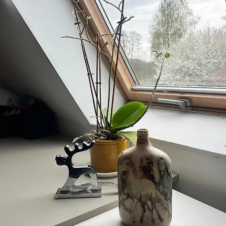 Apartament-samodzielne Mieszkanie-agroturystyka-puszcza Kampinoska