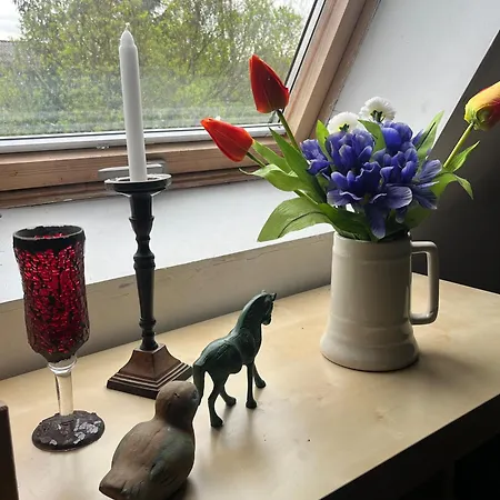 Apartament-samodzielne Mieszkanie-agroturystyka-puszcza Kampinoska Appartement