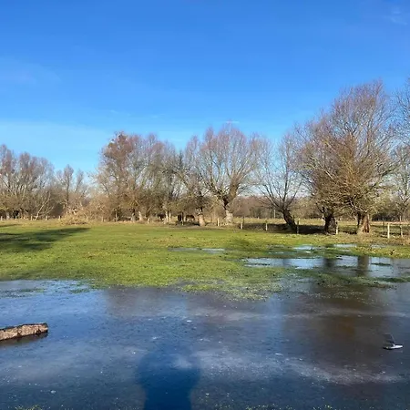 Apartament-samodzielne Mieszkanie-agroturystyka-puszcza Kampinoska Leoncin