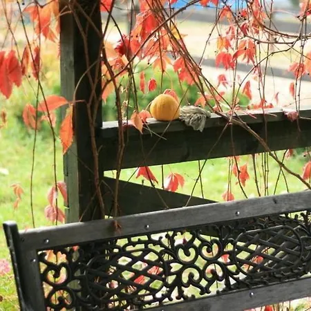 Apartament-samodzielne Mieszkanie-agroturystyka-puszcza Kampinoska Appartement Leoncin